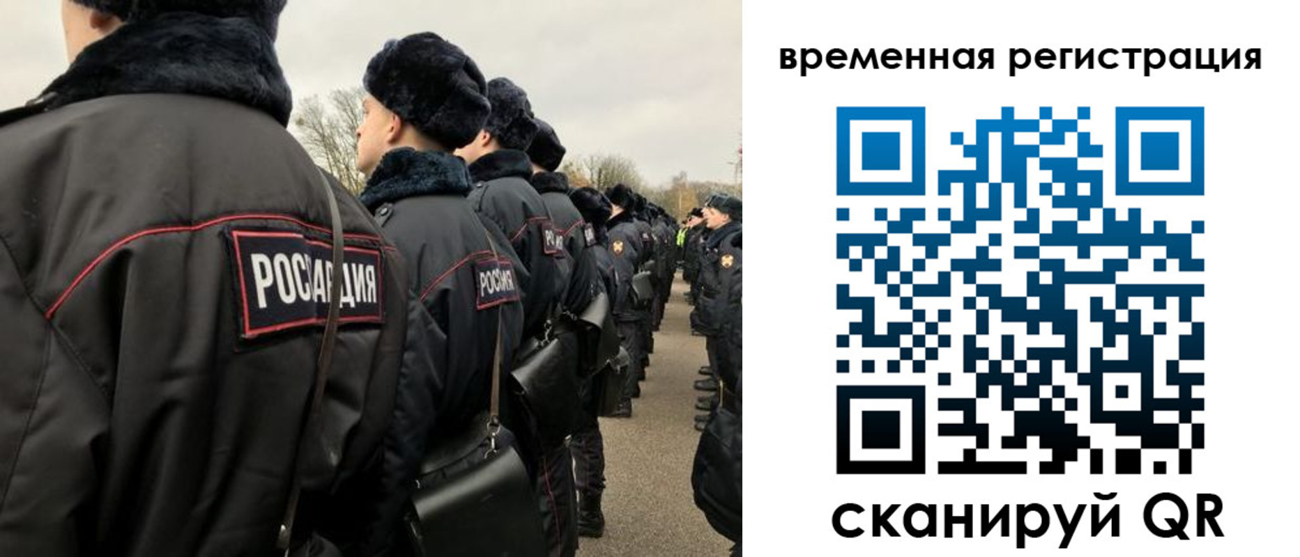прописка гарантия в Дятьково